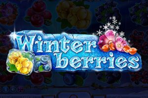 Winterberries Automatenspiel